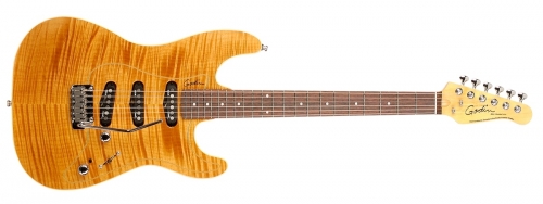 Godin Passion RG-3 (Natural Flame RN)