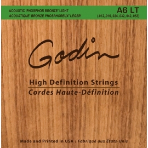 Godin  A6 LT Acustic Saiten 12-53